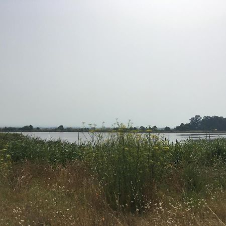 Moradia Proxima Da Praia Do Areinho, Na Ria, E Praia Dos Marretas Ovar Zewnętrze zdjęcie