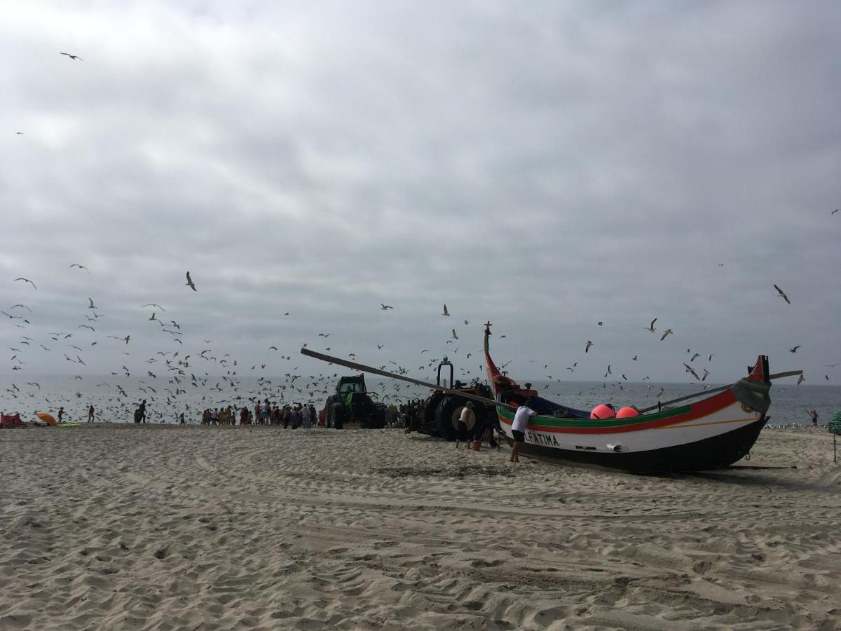 Moradia Proxima Da Praia Do Areinho, Na Ria, E Praia Dos Marretas Ovar Zewnętrze zdjęcie